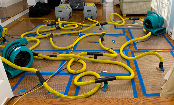 Professional Sewage Cleanup technician working in South Wilmington, IL